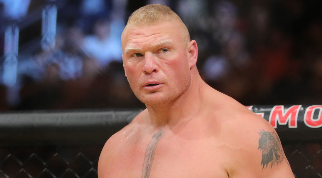 WWE Superstar Brock Lesnar.