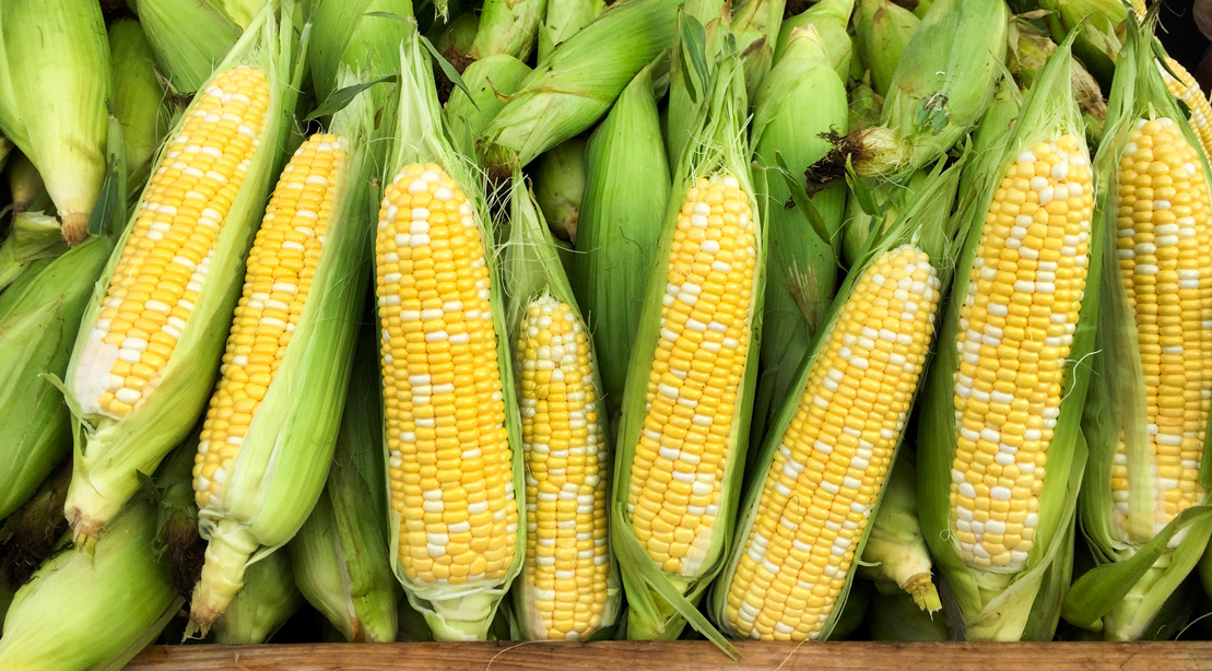 Corn on the Cob at the Market