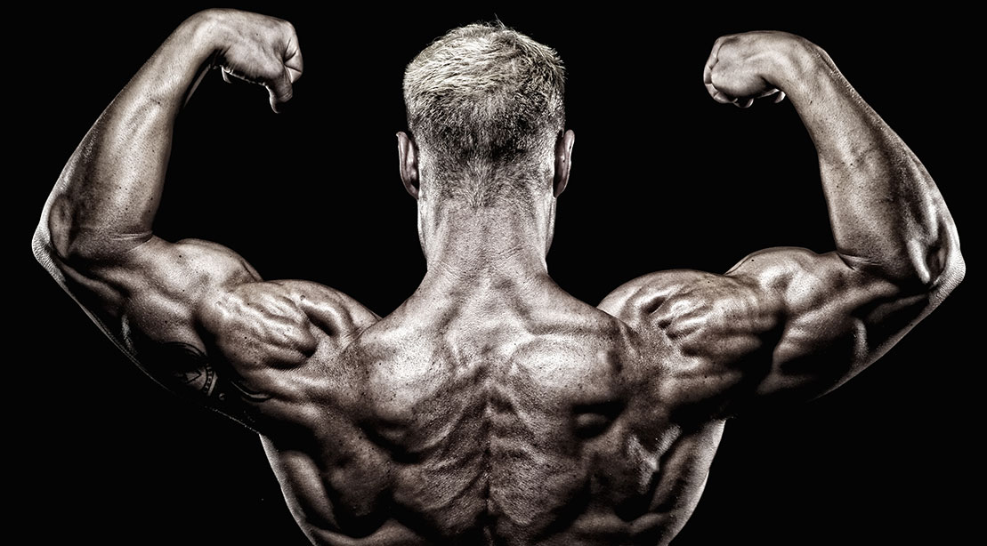 10 Anatomy Facts Every Bodybuilder Should Know