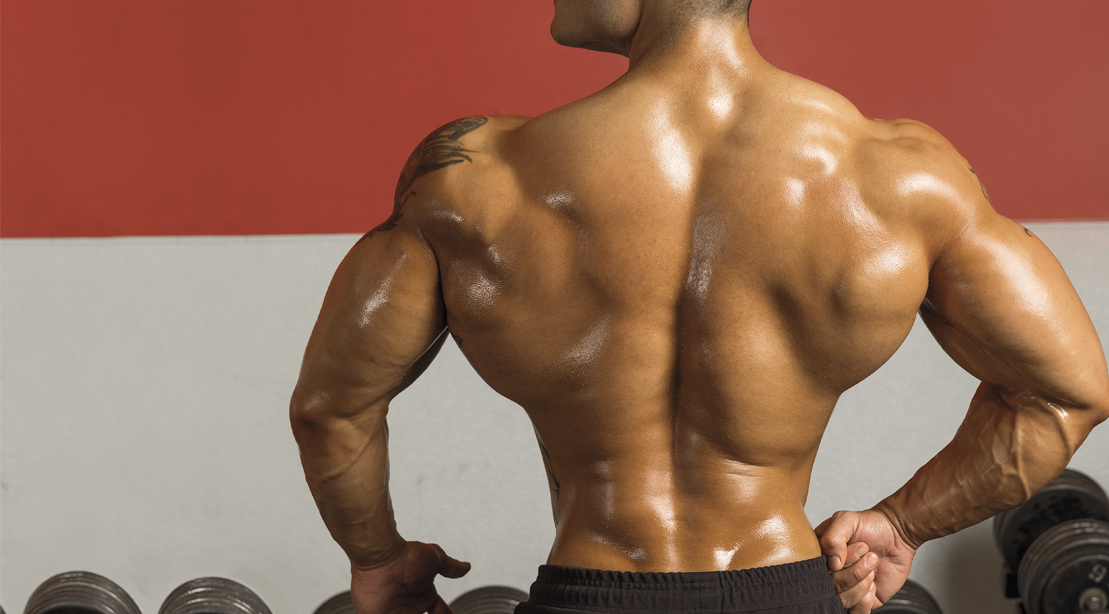 10 Best Trap Exercises for Building Better Trap Muscles