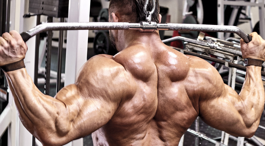 Ultimate Lat Blasting Workout Muscle Fitness