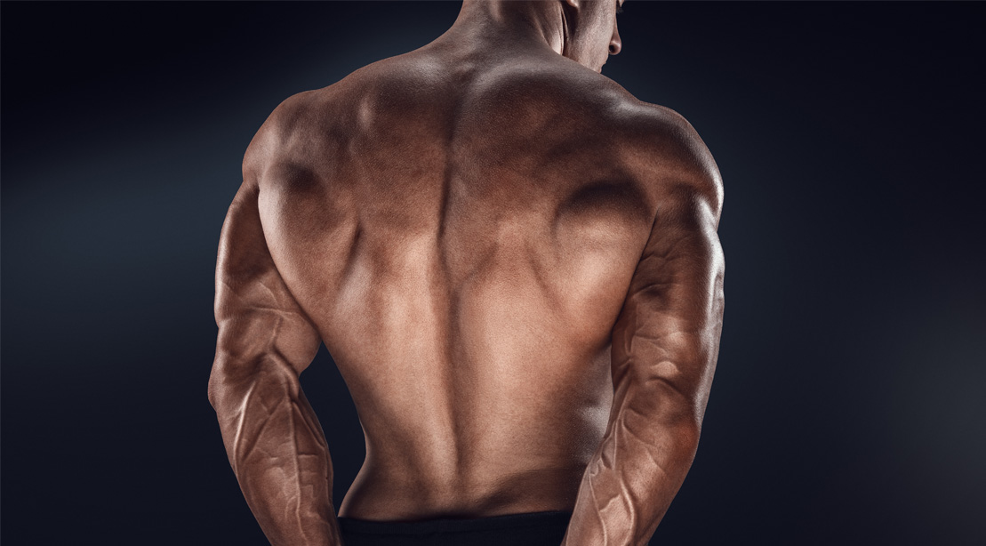 Muscular-V-Taper-Back