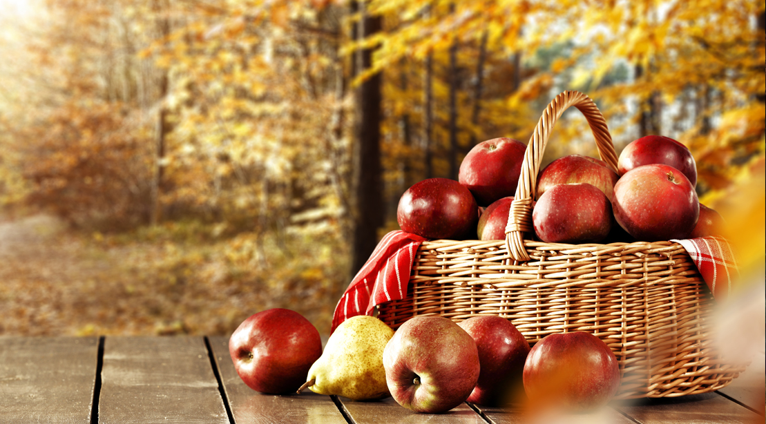 Basket-APples-On-Wooden-Table-Fall-Leaves-Tress