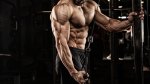 How to get better triceps