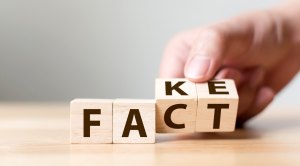 Blocks-With-Fake-Fact