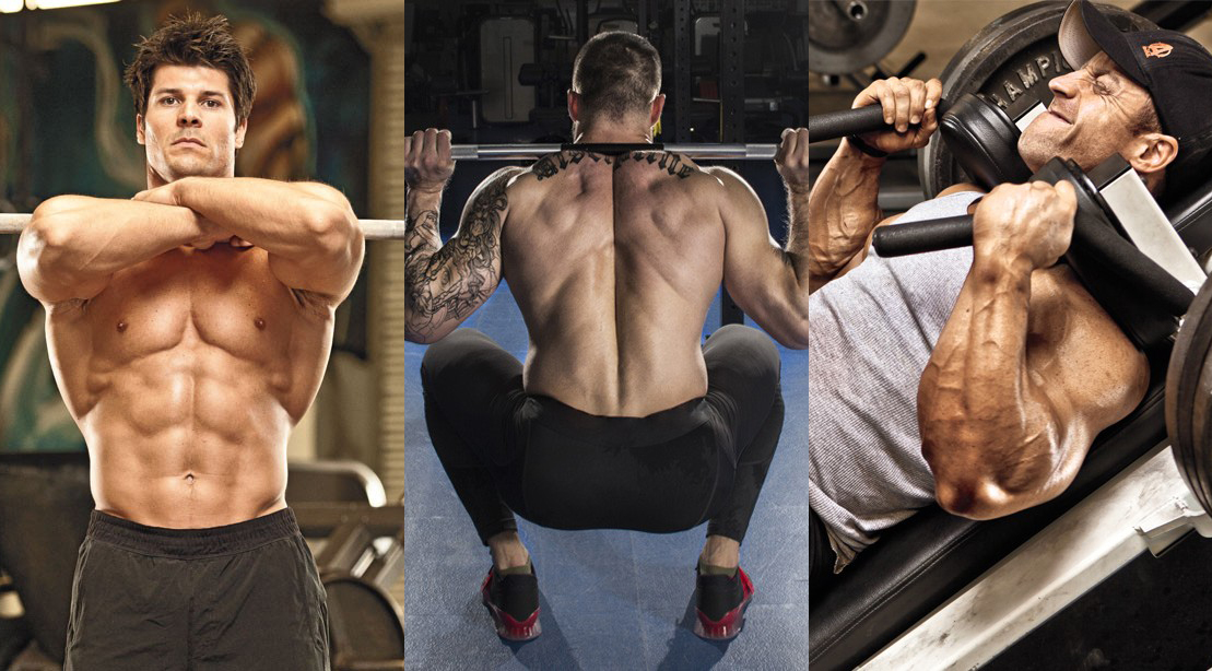 Exercise Face Off Back Front And Hack Squat Muscle Fitness