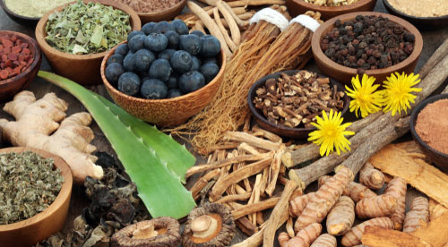 5 Adaptogen Foods That Can Help You Recover Faster and Fight Stress