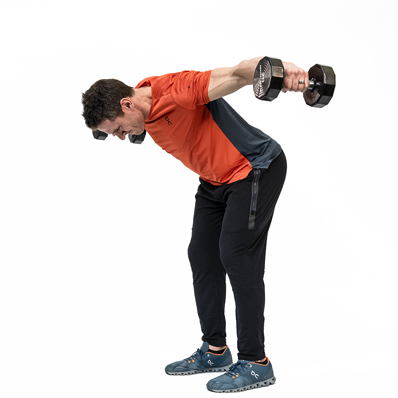 Bent Over Db Rear Delt Raise
