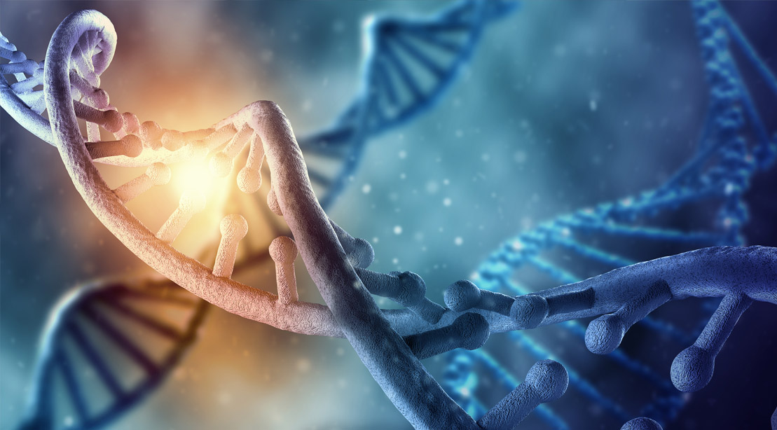 What is Biohacking and How You Can Benefit What is Biohacking and How You Can Benefit