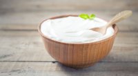 A bowl of healthy greek yogurt for your blood sugar
