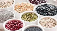 A variety of healthy beans to lower your blood sugar