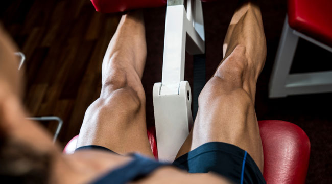 Leg Extension