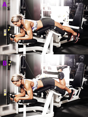 Prone Hamstring Curl