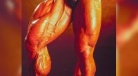Legendary bodybuilder Dorian Yates quad muscles