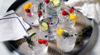 Tommy G&T Gin Drink Recipe with Fresh Fruit and Ice