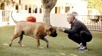 Celebrity fitness trainer Gunnar Peterson playing with his dog