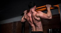 Secrets of Peptides and SARMs