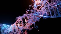 Gentically modified DNA strand altered through biohacking